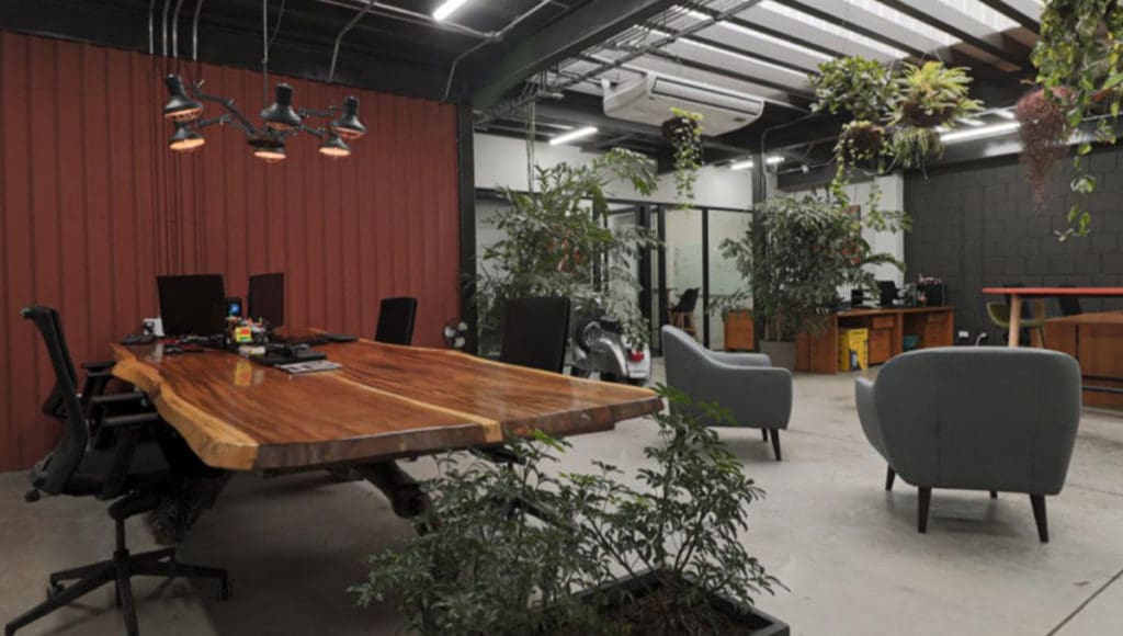 Urban Storage furnished industrial style office space with multiple plants